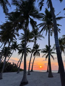 cc36f721ac6cf1470509f0b8c932bb498feb6489